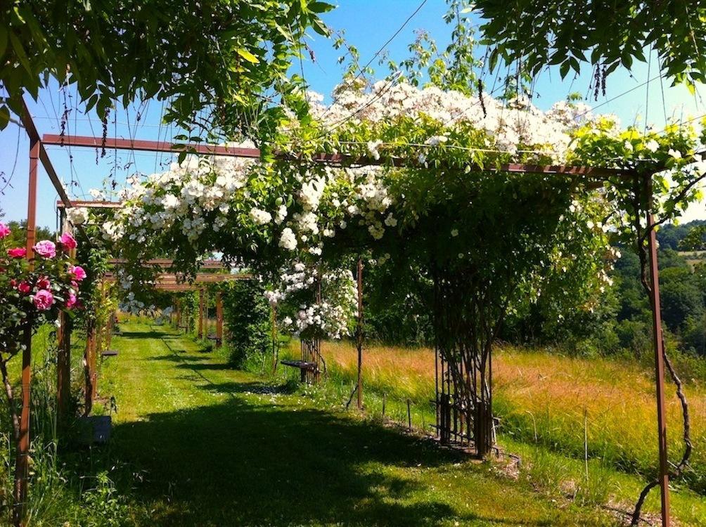 Bed and Breakfast Mas Del Lum Boussac  Екстер'єр фото